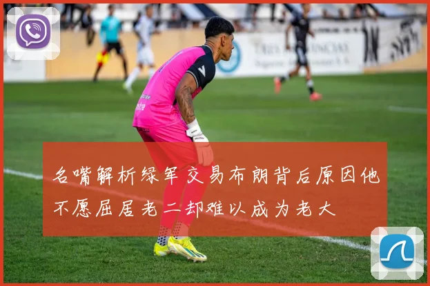 名嘴解析绿军交易布朗背后原因他不愿屈居老二却难以成为老大