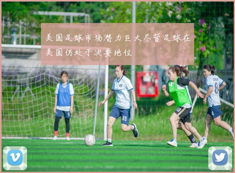 美国足球市场潜力巨大尽管足球在美国仍处于次要地位