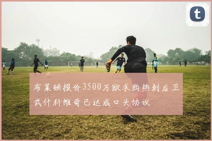 布莱顿报价3500万欧求购热刺后卫武什科维奇已达成口头协议